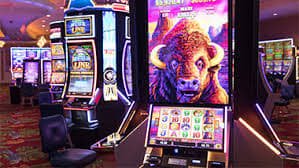 23 bet app